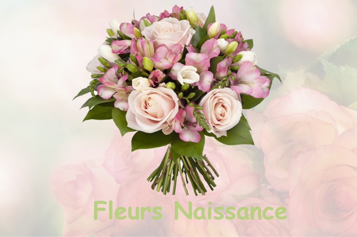 fleurs naissance BESSEY-LA-COUR